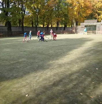 Žolės riedulio turnyras kūno kultūros ir sporto dienai paminėti, nuotrauka 5