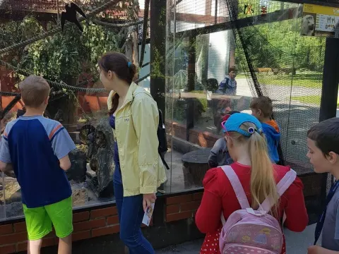 Stovykla „Veršvietis“ – trečioji savaitė, nuotrauka 1