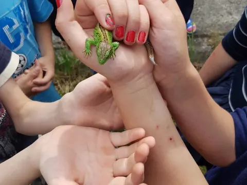 Stovykla „Veršvietis“ – trečioji savaitė, nuotrauka 2