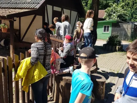 Stovykla „Veršvietis“ – trečioji savaitė, nuotrauka 3