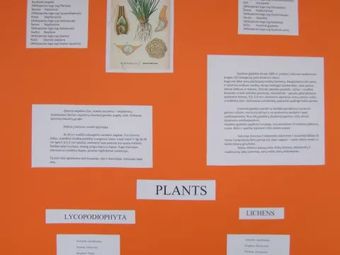 Renginiai skirti Pasaulinei Žemės dienai paminėti, nuotrauka 32