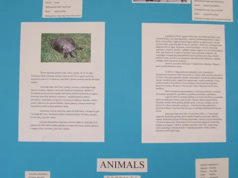 Renginiai skirti Pasaulinei Žemės dienai paminėti, nuotrauka 11