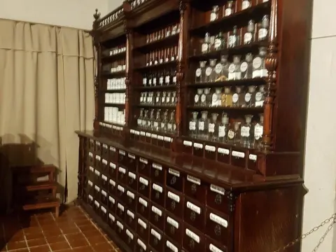 Kūrybinės dirbtuvės – Medicinos muziejus, nuotrauka 4