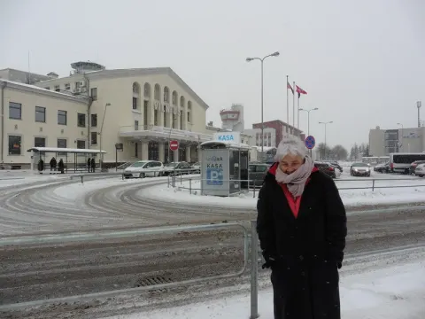 Dalinamės savo patirtimi su mokytojais iš užsienio, nuotrauka 2