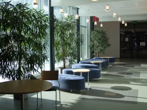 Mobilumo veiklos Suomijoje, nuotrauka 4