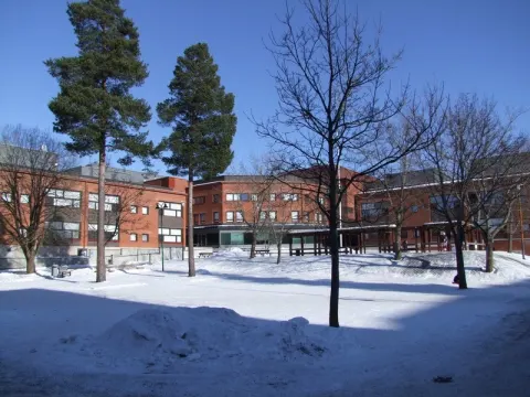 Mobilumo veiklos Suomijoje, nuotrauka 1