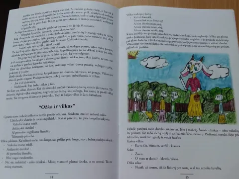 TOP10 verslumo projektų pristatymas, nuotrauka 7