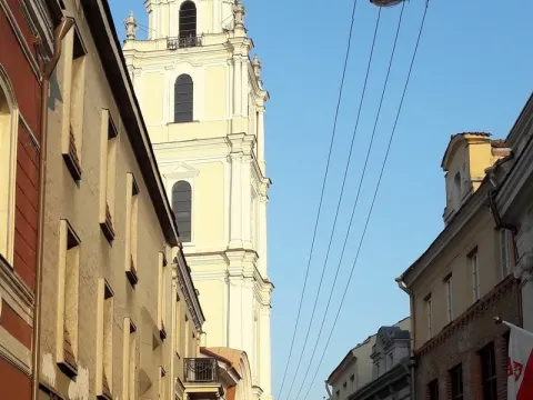 Partneriai Kauno Veršvų gimnazijoje, nuotrauka 3