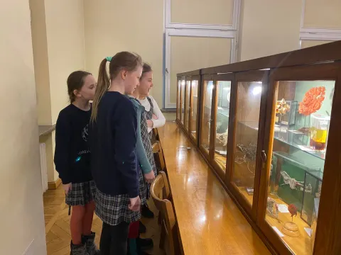 Edukacija Anatomijos muziejuje, nuotrauka 9