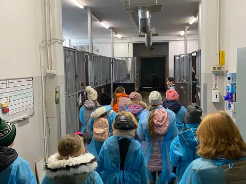 Pažintis su Veterinarijos gydytojo profesija, nuotrauka 4