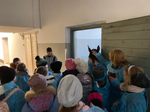 Pažintis su Veterinarijos gydytojo profesija, nuotrauka 6