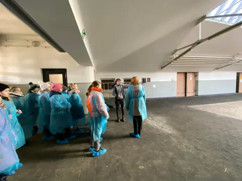 Pažintis su Veterinarijos gydytojo profesija, nuotrauka 7