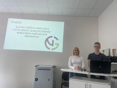 Mokymasis tarnaujant, nuotrauka 4