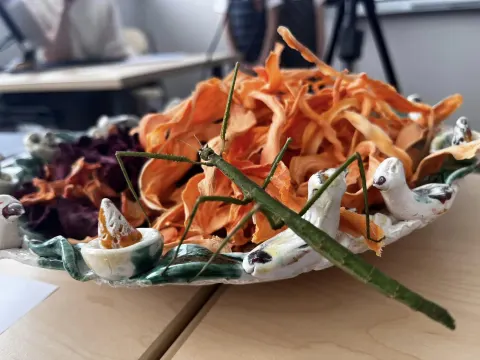 Pradinių klasių (Romainių g.)  Verslumo projektai „V-Verslas”, nuotrauka 2