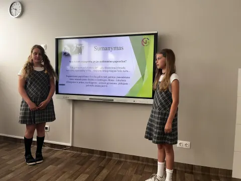 Pradinių klasių (Romainių g.)  Verslumo projektai „V-Verslas”, nuotrauka 7