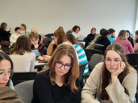 Tarptautinės mokymo(si) veiklos Lietuvoje, nuotrauka 15