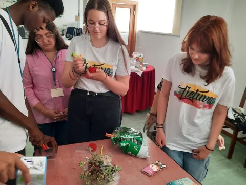 Erasmus+ KA220 bendradarbiavimo partnerystės projektas „Together for a Sustainable Europe“, nuotrauka 11