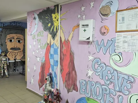 Darbo stebėsena Rumunijoje, nuotrauka 5