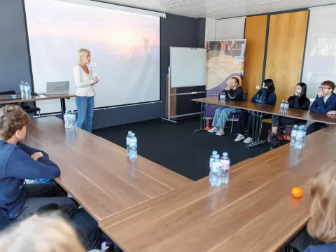 Šešėliavimo programos veiklos UAB „Scandagra”, nuotrauka 1