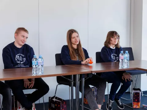 Šešėliavimo programos veiklos UAB „Scandagra”, nuotrauka 3
