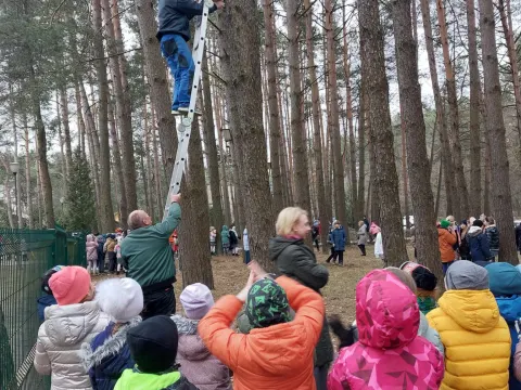 Pasaulinės Žemės dienos minėjimo veikla pradiniame ugdyme, nuotrauka 10