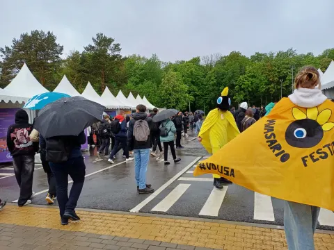 VDU studijų festivalyje, nuotrauka 4