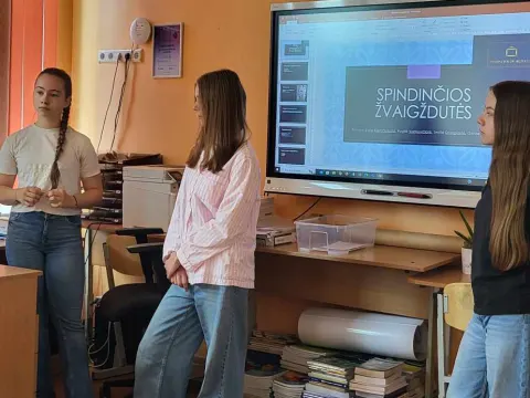 V-Verslas verslumo projektai, nuotrauka 3
