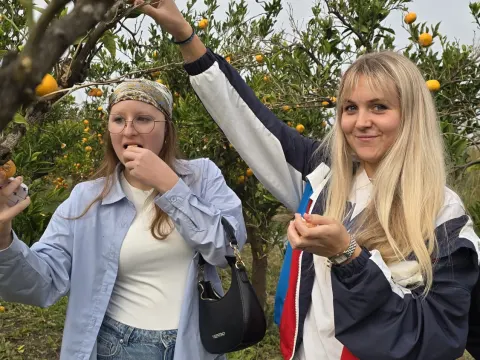 Erasmus+ KA220 bendradarbiavimo partnerystės projektas „Think global, learn being an entrepreneur in Europe!“, nuotrauka 3