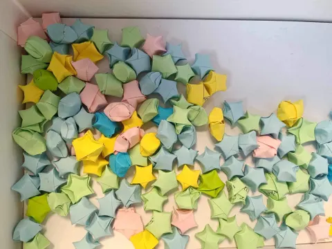 Jungiam “žalią šviesą gyvenimui”, nuotrauka 2