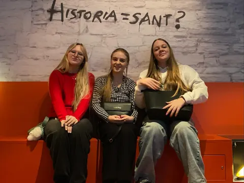 Erasmus+ KA210 bendradarbiavimo partnerystės projektas „Scheduling and Student Democracy for Inclusion and Learning“, nuotrauka 4
