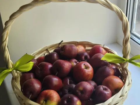 Pasaulinės dienos be tabako minėjimo veiklos, nuotrauka 9