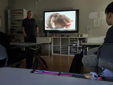 Darbo stebėsena Latvijoje, nuotrauka 5