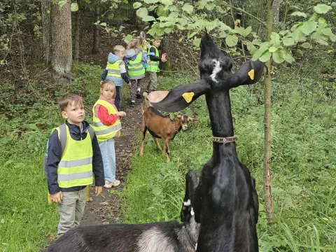 🤩🤩Išvykų diena – pilna nuotykių🤩🥳, nuotrauka 45