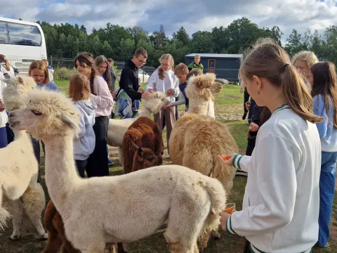 🤩🤩Išvykų diena – pilna nuotykių🤩🥳, nuotrauka 3