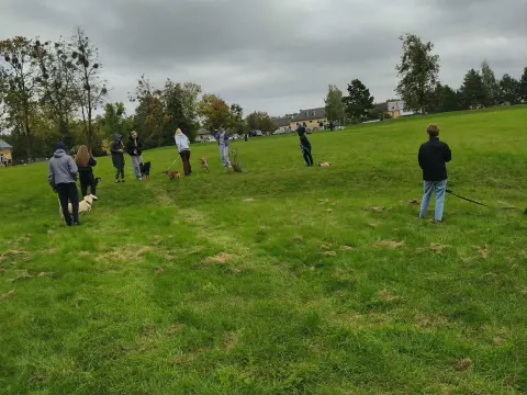 IIc gimn. klasės tradicija – gerumo diena „Penktoje kojoje“, nuotrauka 6