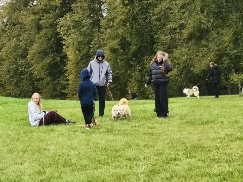 IIc gimn. klasės tradicija – gerumo diena „Penktoje kojoje“, nuotrauka 7