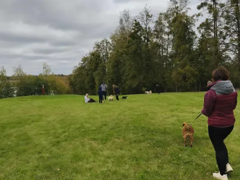 IIc gimn. klasės tradicija – gerumo diena „Penktoje kojoje“, nuotrauka 8