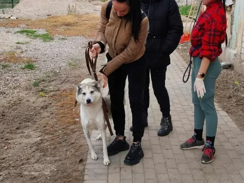 IIc gimn. klasės tradicija – gerumo diena „Penktoje kojoje“, nuotrauka 11