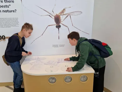 Ačiū Kaunui, susitiksime Tartu, nuotrauka 3