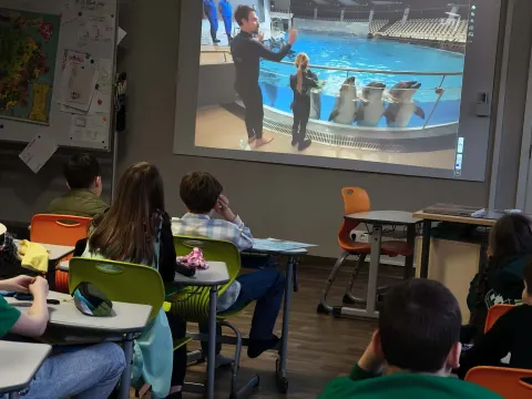 Apie ką svajoja vaikai?, nuotrauka 1