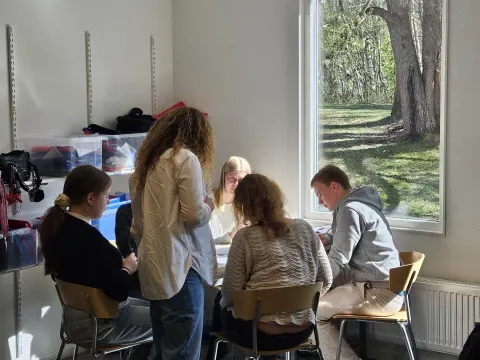 Mokinių mobilumas Švedijoje, nuotrauka 2