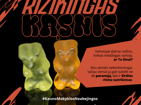 Svarbi mūsų visų atsakomybės dalis siekiant apsaugoti vaikų ir paauglių sveikatą, nuotrauka 1