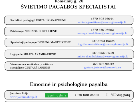 Pasaulinė savižudybių prevencijos diena, nuotrauka 5