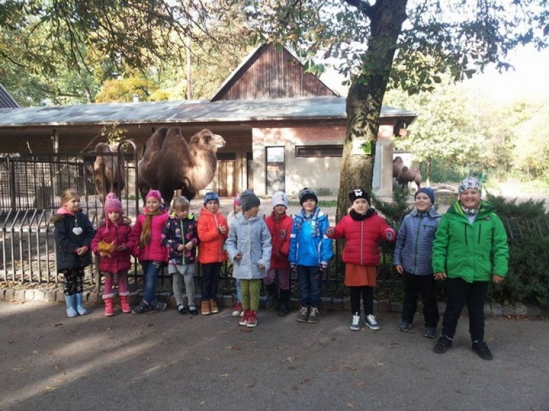 Dalyvavome Lietuvos zoologijos sodo surengtoje akcijoje „Gilė 2016”